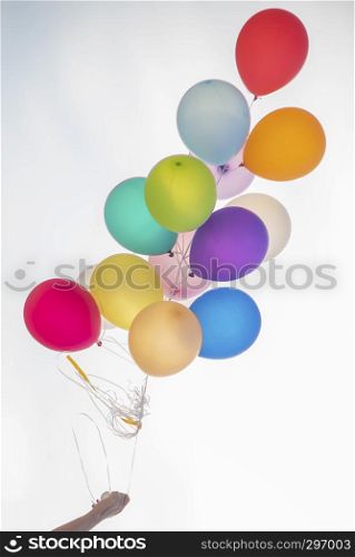 Hand holding colorful balloon bunch on white background.