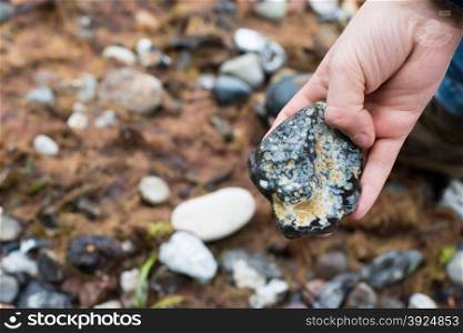 Hand holding flint stone. Hand holding flint stone on a beach at the danish coast