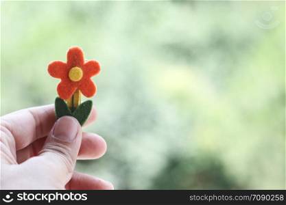 hand holding flower