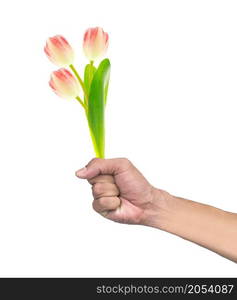 Hand holding flowers isolated on white background. Hand holding flowers isolated on white