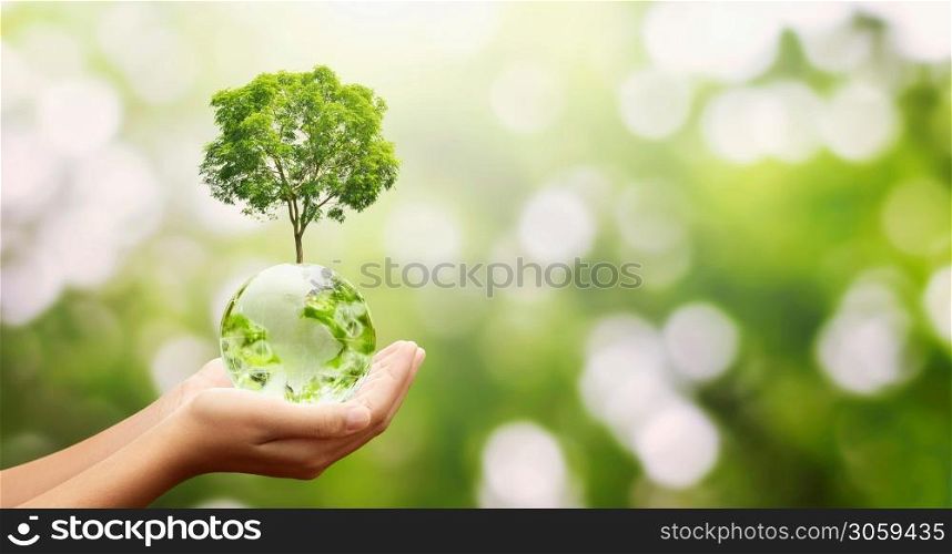 hand holding glass globe ball with tree growing and green nature background. eco environment concept