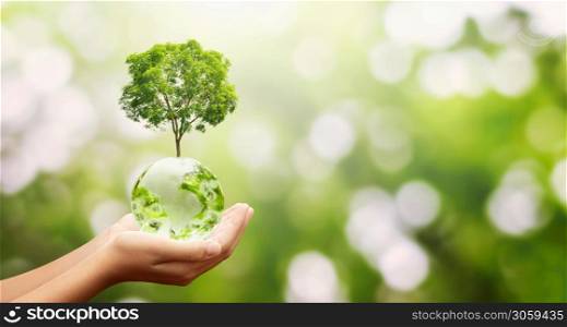 hand holding glass globe ball with tree growing and green nature background. eco environment concept