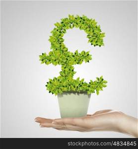Hand holding green plant currency symbol in white pot