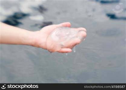 Hand Holding Jellyfish in Costa Rica