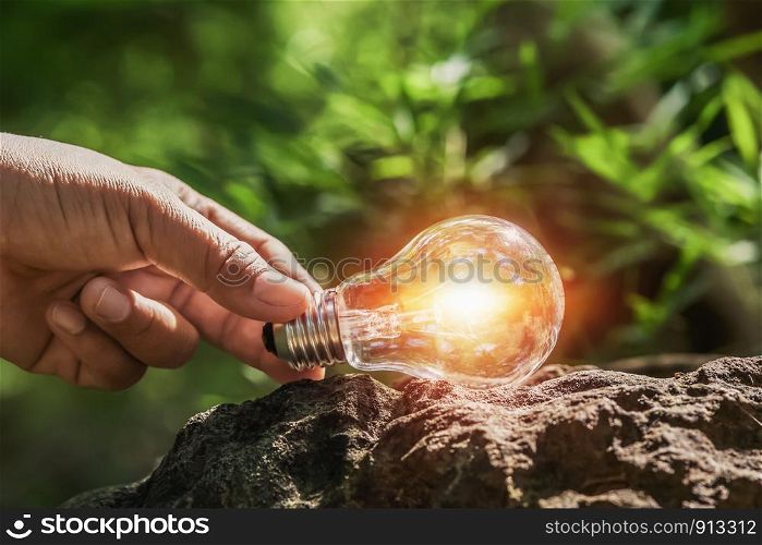 hand holding light bulb on rock in forest with sunshine. concept clean energy