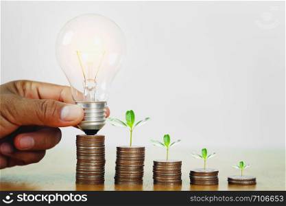 hand holding light bulb with plant growing step on money. concept finance accounting and saving energy