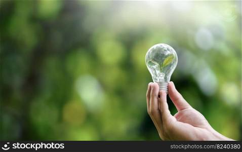 Hand holding light bulbs and growing plants Environment Sustainability Save the world clean Ecology concept. Earth Day banner with copy space.