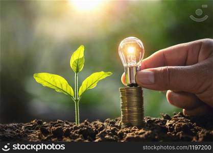 hand holding lightbulb money stack and young plant in nature. idea saving energy and accounting finance concept