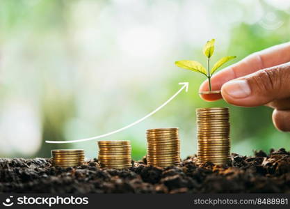 hand holding money putting on coins stack with plant growth