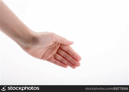 Hand holding on a white background