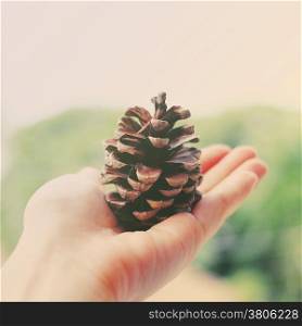Hand holding pine cone with retro filter effect