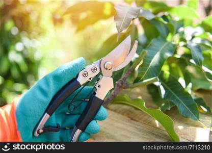 Hand holding pruning shears in the garden agriculture / Gardening tool and works concept