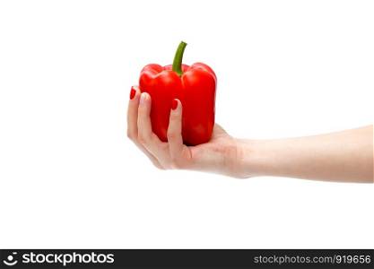 Hand holding red pepper isolated on white. fresh red pepper. fresh red pepper. Hand holding red pepper isolated on white