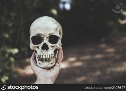 hand holding skull forest