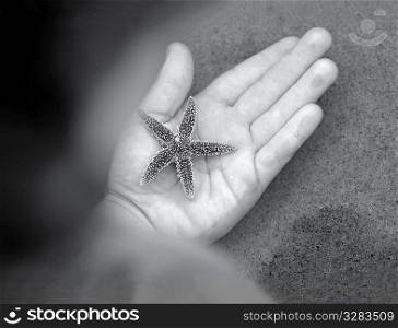 Hand holding small starfish.