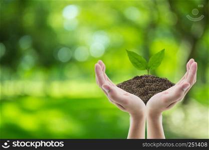 Hand holding soil and tree of nature background with environment concept.