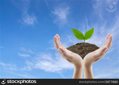 Hand holding soil and tree of sky background with environment concept.