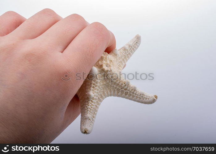 Hand holding starfish in water covered with foam