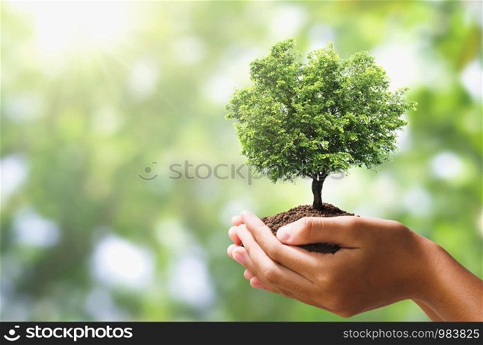 hand holding tree on blur green nature background. concept eco earth day