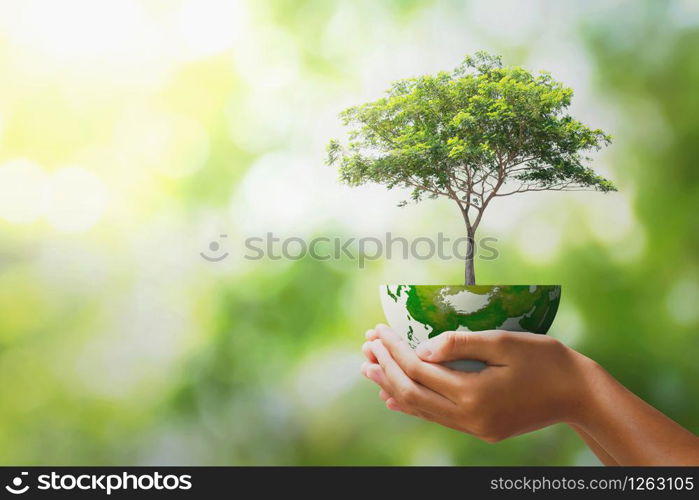 hand holding tree with half globe an d sunlight. concept eco earth day