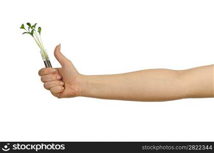 Hand holding tube with seedling on white