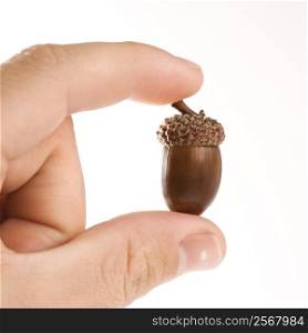 Hand holding up single acorn between two fingers.