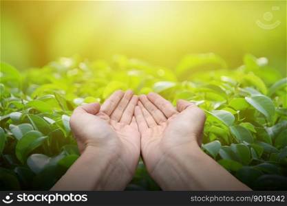 Hand holding with blank on nature background, Technology ecology concept.