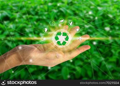 Hand holding with environment icons over the Network connection on nature background, Technology ecology concept.