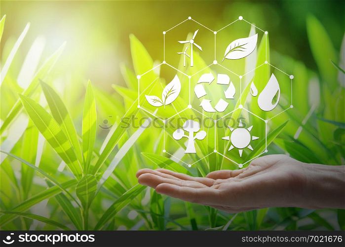 Hand holding with environment Icons over the Network connection on nature background, Technology ecology concept.