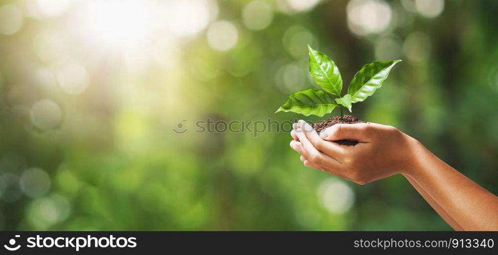 hand holding young plant on blur green nature background. concept eco earth day