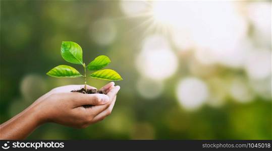 hand holding young plant on blur green nature. concept eco earth day