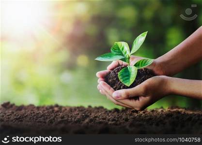 hand holding young plant on soil and green nature background. eco concept