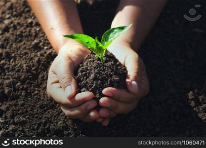 hand holding young tree for planting. concept eco earth day