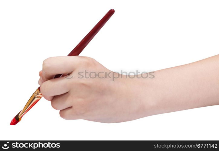 hand holds artistic flat paintbrush with red painted tip isolated on white background