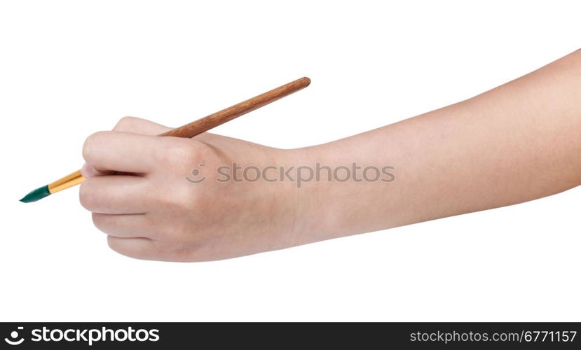 hand holds artistic paint brush with green painted tip isolated on white background