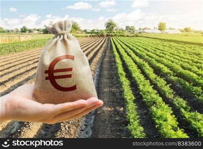 Hand holds out a euro y bag on a background of a carrot plantation. Support and subsidies. Lending farmers for purchase land and seed material, modernization. Revival of the village. Farm loans.