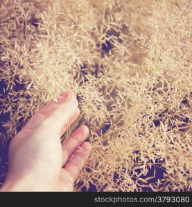 Hand in autumn grass with retro filter