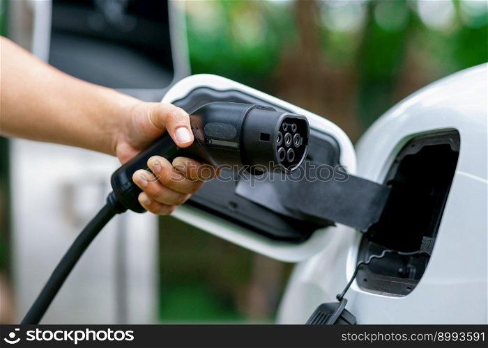 Hand inserting EV charging plug to electric vehicle in focus shot with blurred background of outdoor natural greenery. Progressive sustainable energy powered electric charging station for rechargeable. Focus hand insert progressive EV charger plug to EV car with blur background.