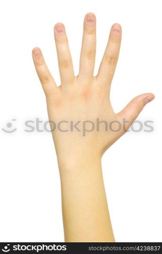 hand isolated on a white