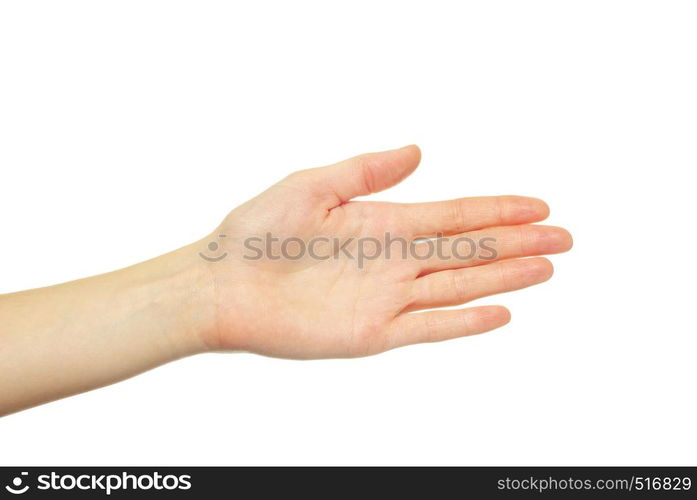 hand isolated on a white background