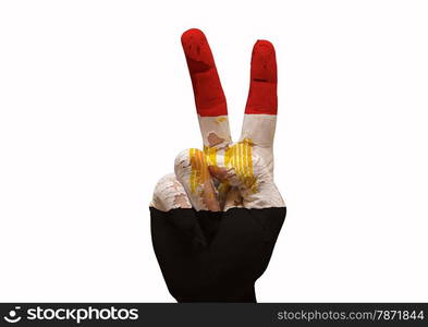 Hand making the V sign country flag painted egypt