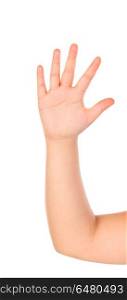 Hand of a boy showing his five fingers. Hand of a boy showing his five fingers isolated on a white background