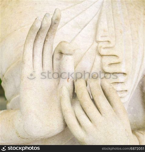hand of buddha