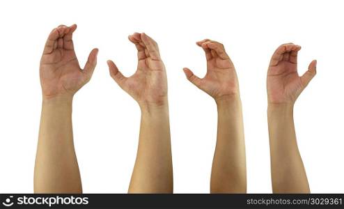Hand of man and woman in gesture of gripping device isolated on . Hand of man and woman in gesture of gripping device isolated on white background and have clipping paths.