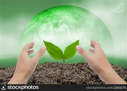 Hand of man growing and nurturing tree growing on fertile soil with nature world background, care environment concept, Elements of this image furnished by NASA.