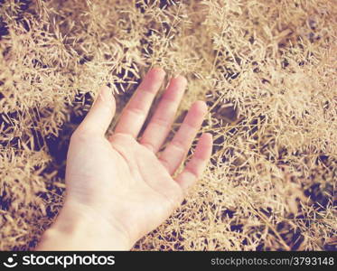 Hand on autumn grass with retro filter