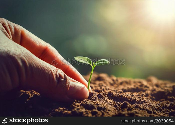 hand planting small tree with sunrise. green world and earth day concept