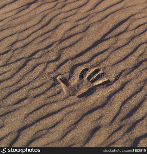 Hand print in sand