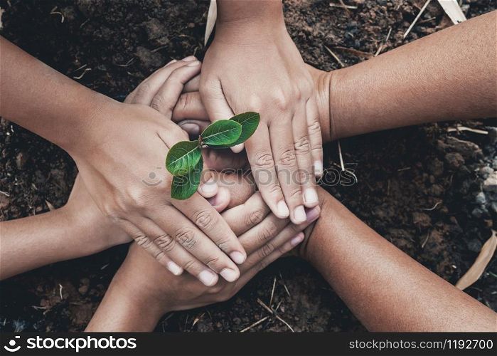 hand protection tree in garden concept save earth
