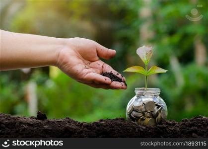 hand Put money Bottle Banknotes tree Image of bank note with plant growing on top for business green natural background money saving and investment financial concept